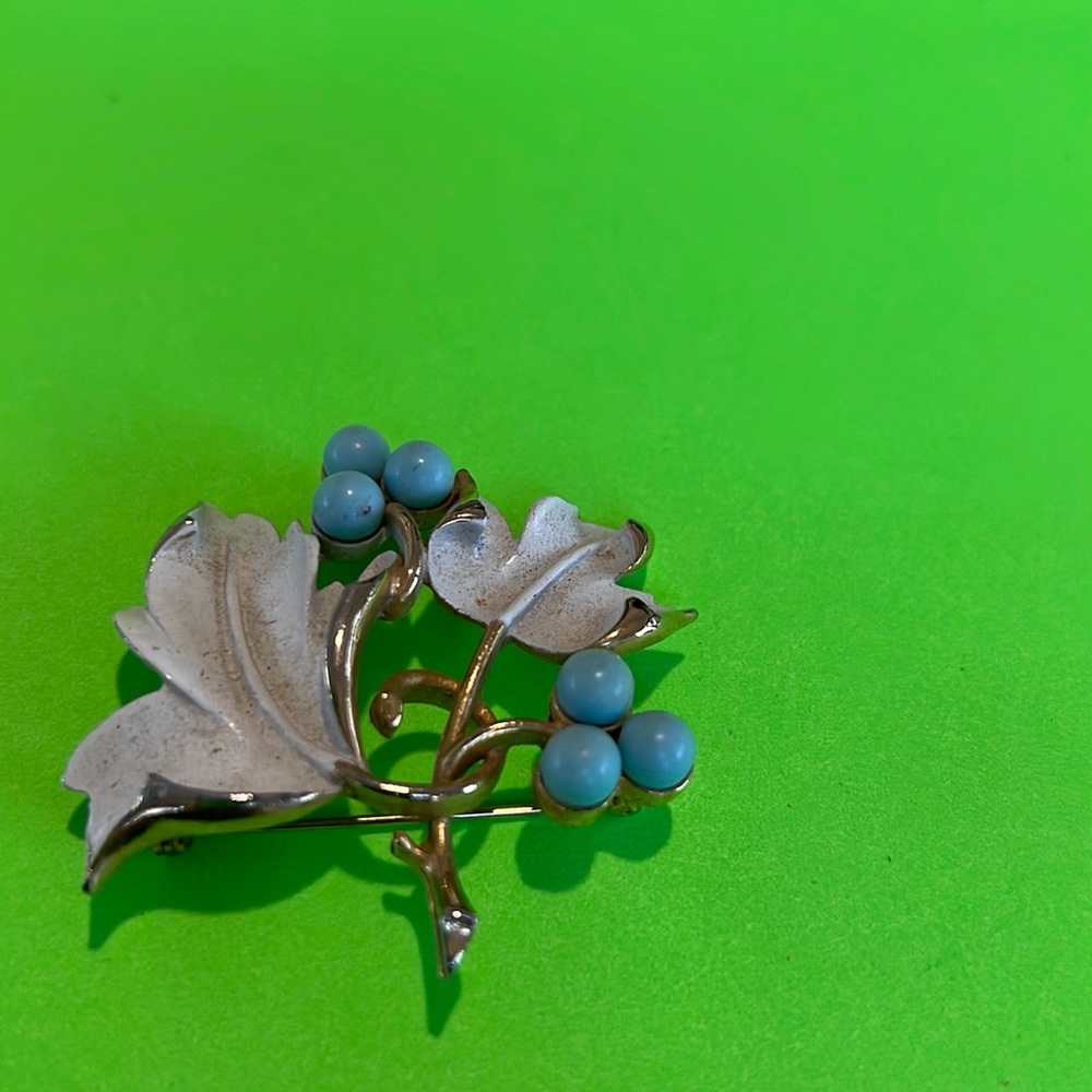 Brooch Sara Cov